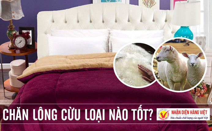 REVIEW 10+ Chăn Lông Cừu Loại Nào Tốt [ PHẢI ĐỌC TRƯỚC KHI MUA ]